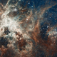 Illustration for article titled 40% of Americans say astrology is science. Or did they mean astronomy?